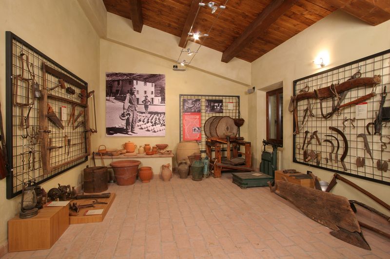 Interno del museo (foto E. Salvatori)